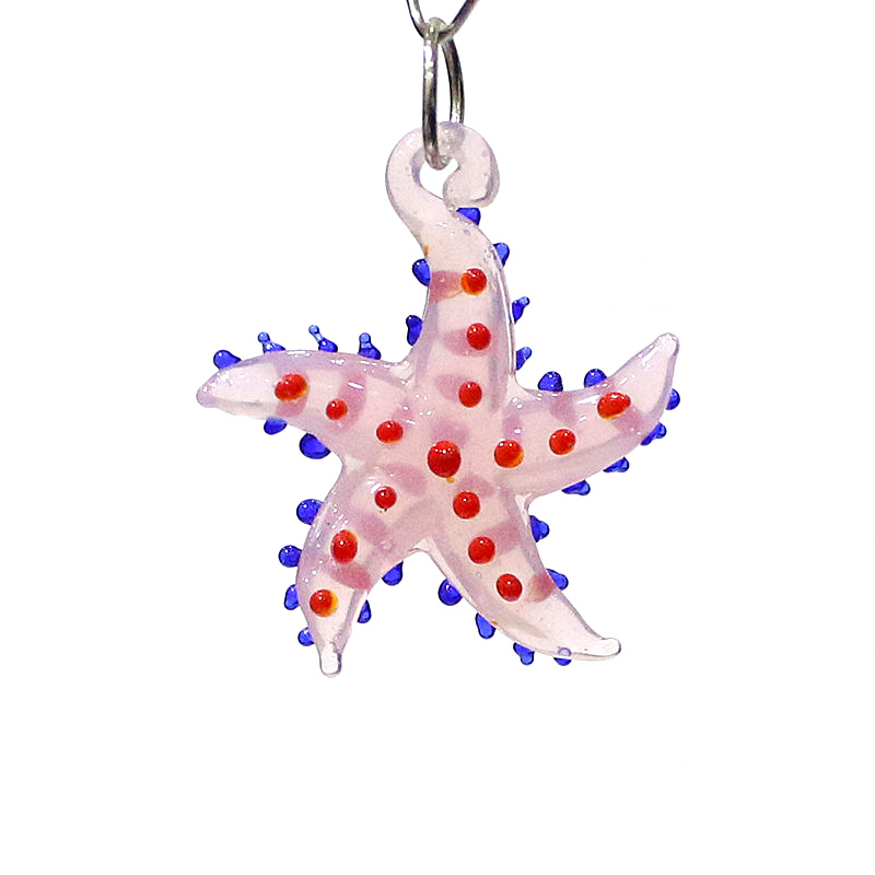 Cute Marine Animal Starfish Ch - огляд і ціна Marine Aquarium & Regional Centre Reviews